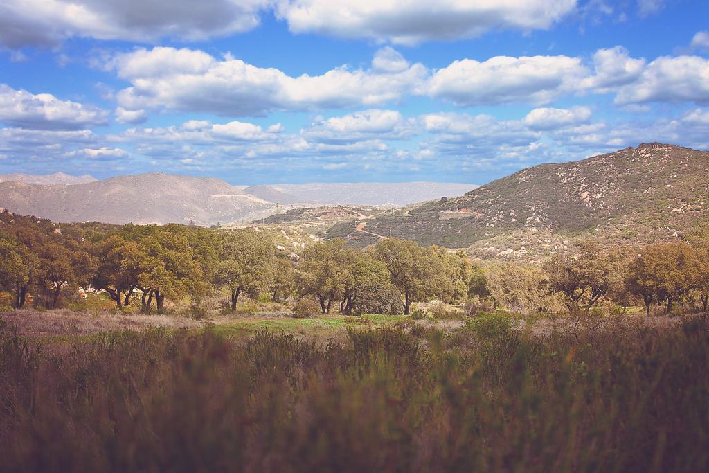 Hotel Boutique Rancho Tecate Luaran gambar