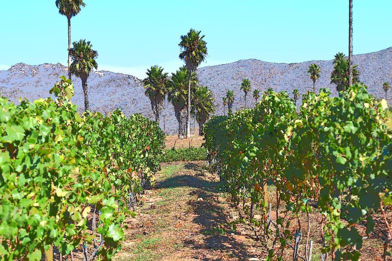 Hotel Boutique Rancho Tecate Luaran gambar